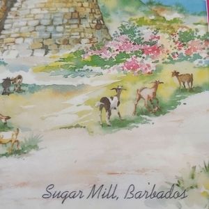 NEW Barbados Drink Coasters Pimpernell Caribbean collection Set of 6 SEALED Box